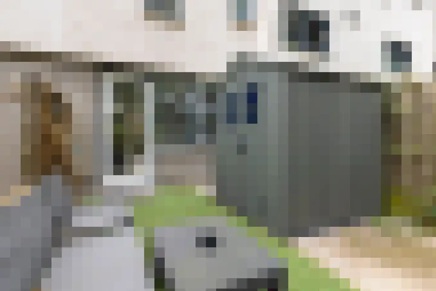 Bruinvisstraat 79 Amsterdam thumbnail 48