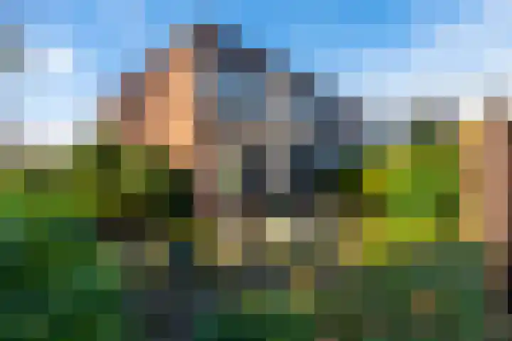 Bruisdreef 134 Utrecht thumbnail 26