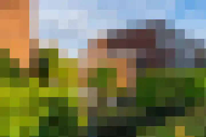 Bruisdreef 134 Utrecht thumbnail 27