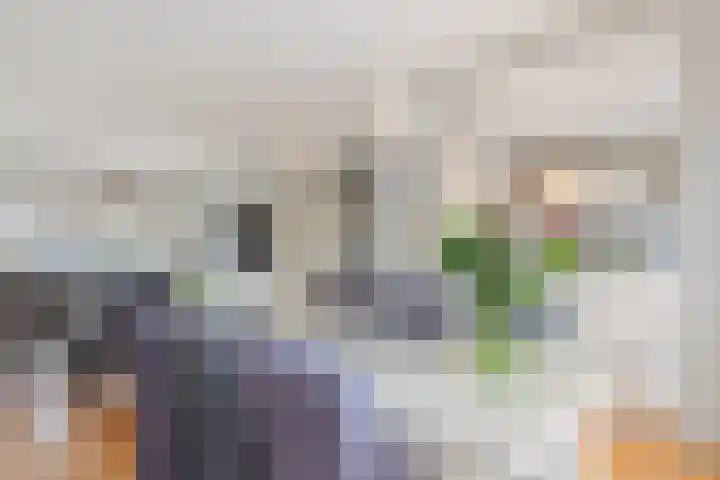 Bruisdreef 16 Utrecht thumbnail 12
