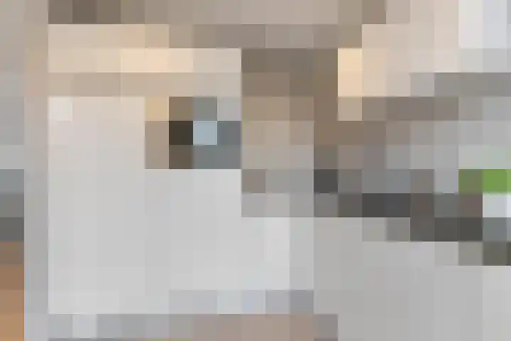 Bruisdreef 16 Utrecht thumbnail 16