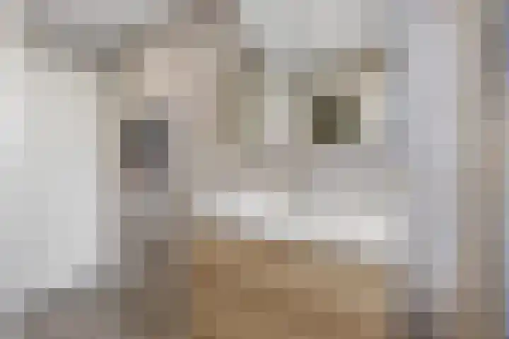 Bruisdreef 16 Utrecht thumbnail 25