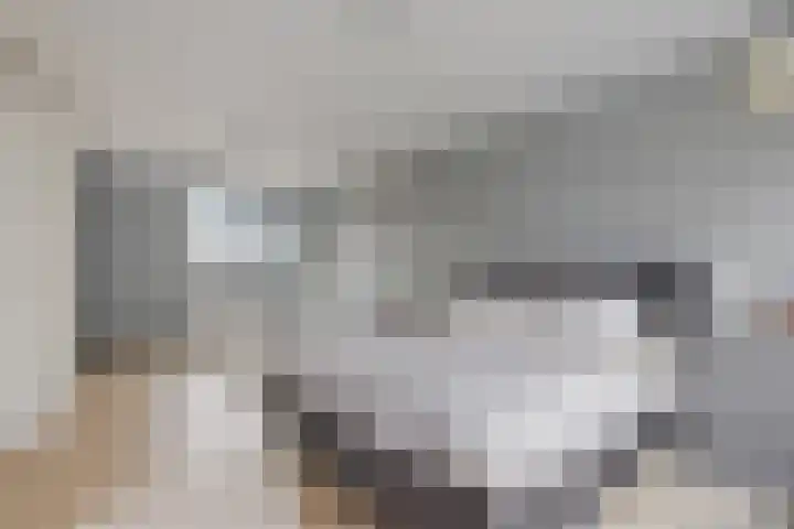 Bruisdreef 16 Utrecht thumbnail 30