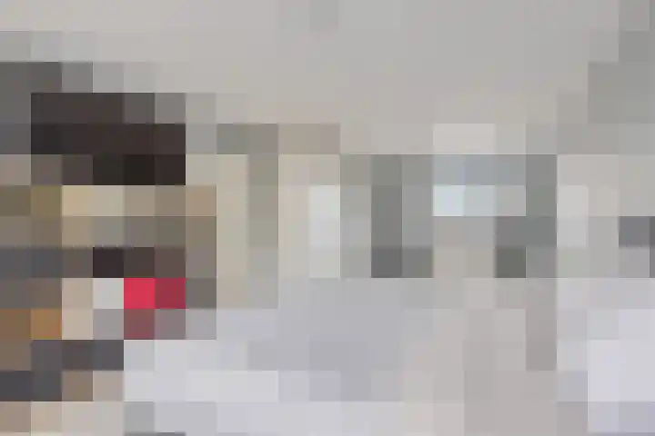 Bruisdreef 16 Utrecht thumbnail 31