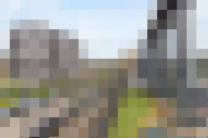 Bruisdreef 16 Utrecht thumbnail 32