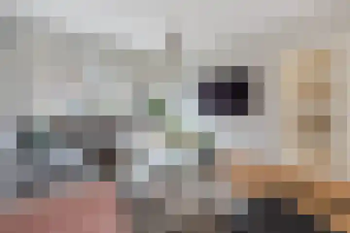 Bruisdreef 16 Utrecht thumbnail 8