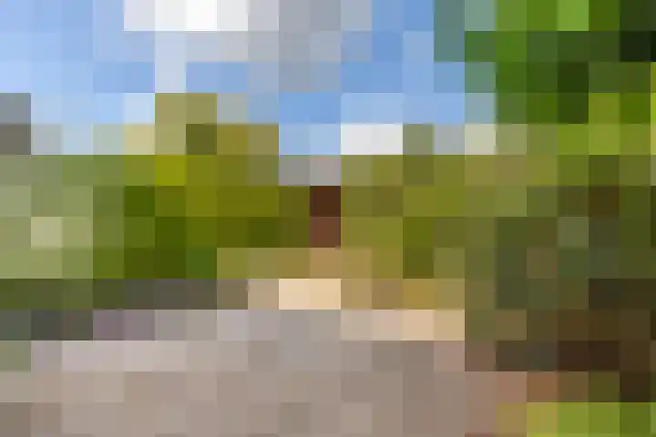 Bruisdreef 20 Utrecht thumbnail 22