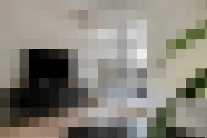 Bruiseldonk 16 Lierop thumbnail 10