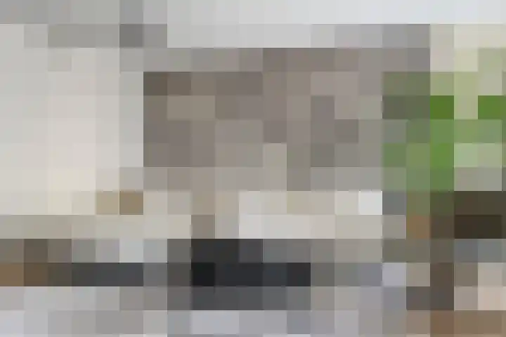 Bruiseldonk 16 Lierop thumbnail 11