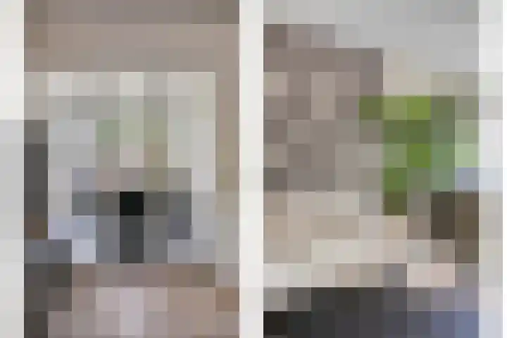 Bruiseldonk 16 Lierop thumbnail 12
