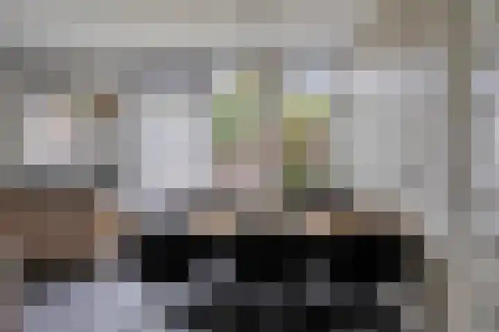 Bruiseldonk 16 Lierop thumbnail 13