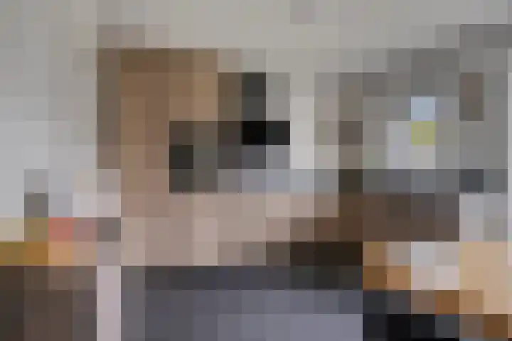 Bruiseldonk 16 Lierop thumbnail 14