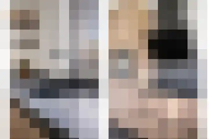Bruiseldonk 16 Lierop thumbnail 15