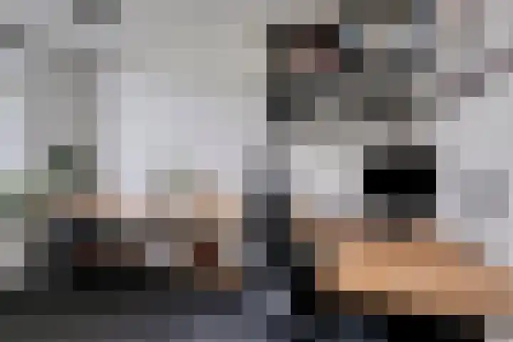Bruiseldonk 16 Lierop thumbnail 18