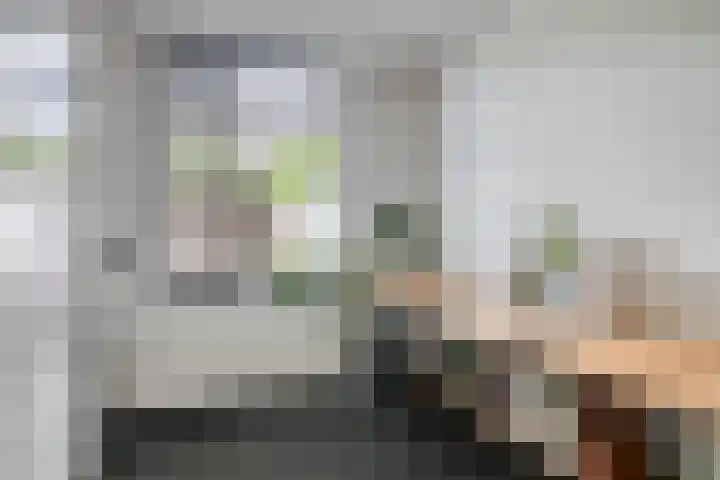 Bruiseldonk 16 Lierop thumbnail 19