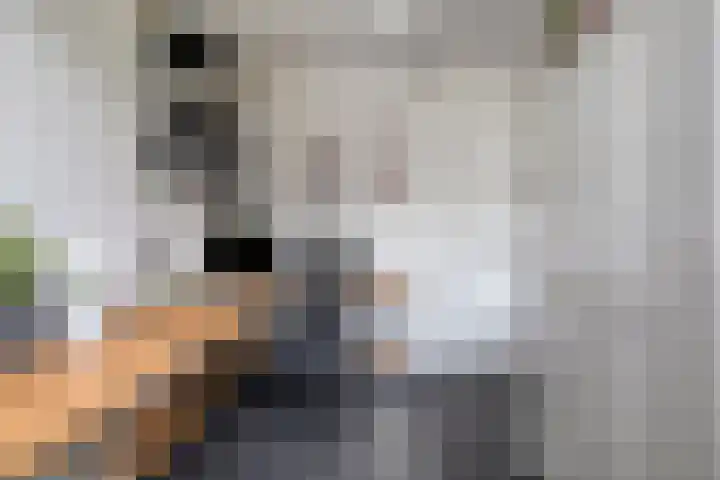 Bruiseldonk 16 Lierop thumbnail 20