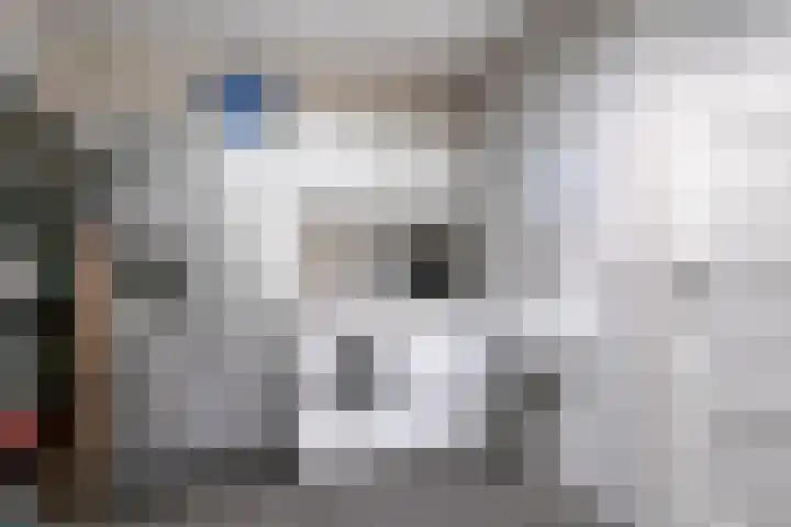 Bruiseldonk 16 Lierop thumbnail 21