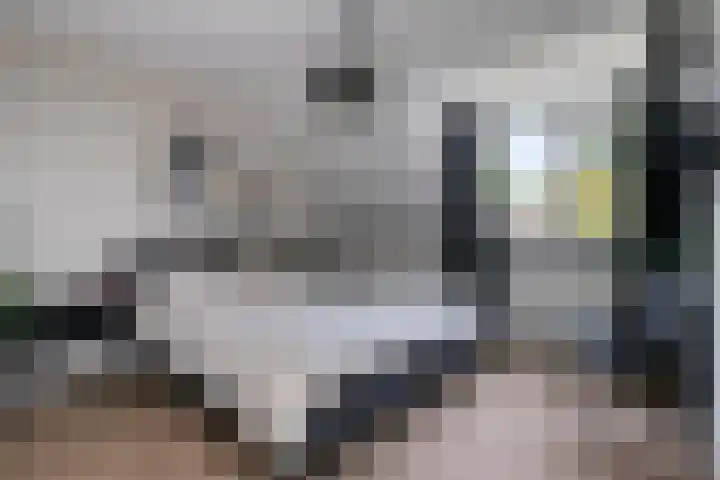 Bruiseldonk 16 Lierop thumbnail 25