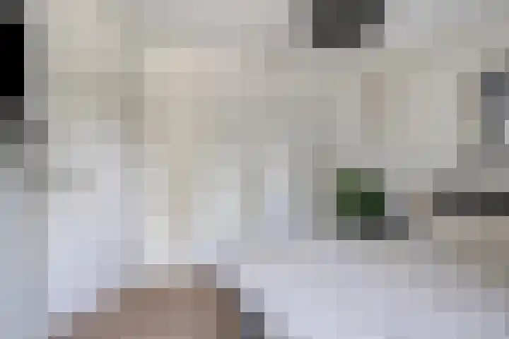 Bruiseldonk 16 Lierop thumbnail 26