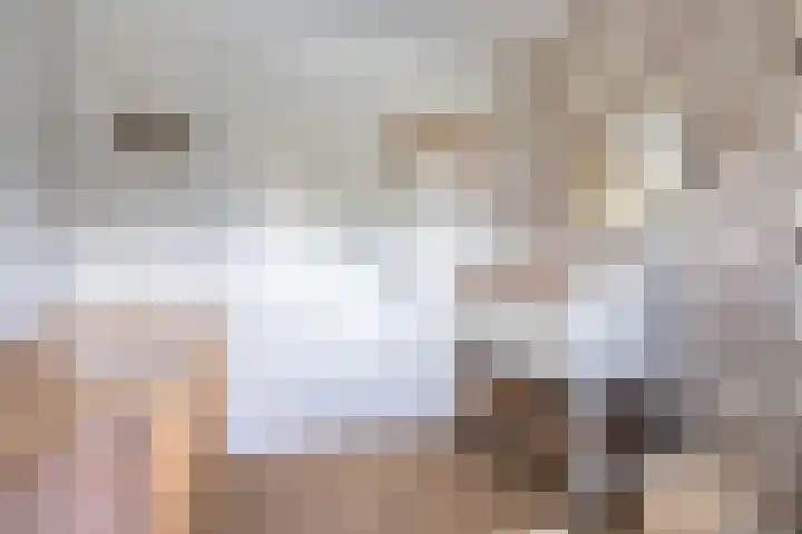 Bruiseldonk 16 Lierop thumbnail 28