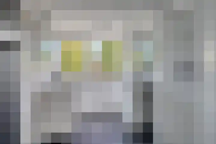 Bruiseldonk 16 Lierop thumbnail 31