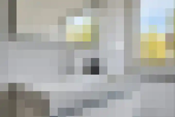 Bruiseldonk 16 Lierop thumbnail 32