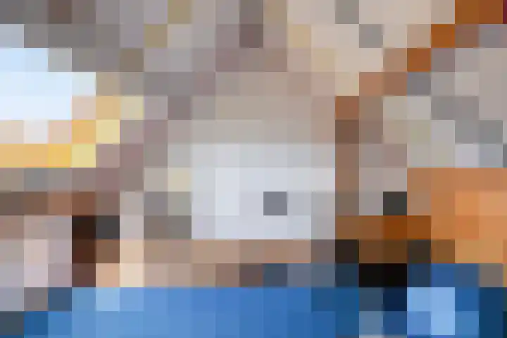 Bruiseldonk 16 Lierop thumbnail 36