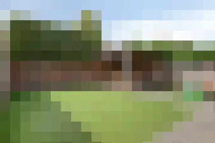Bruiseldonk 16 Lierop thumbnail 38