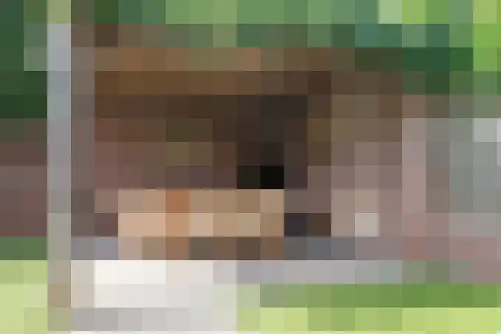 Bruiseldonk 16 Lierop thumbnail 39