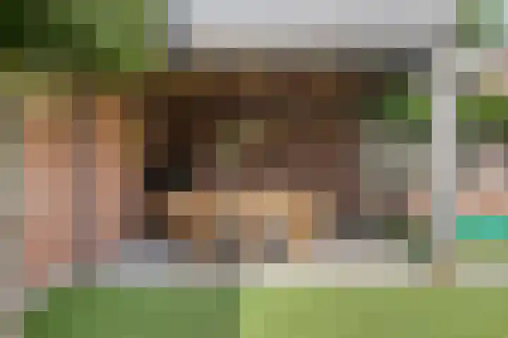 Bruiseldonk 16 Lierop thumbnail 40