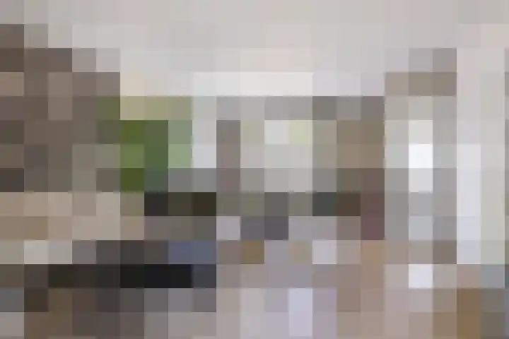 Bruiseldonk 16 Lierop thumbnail 7