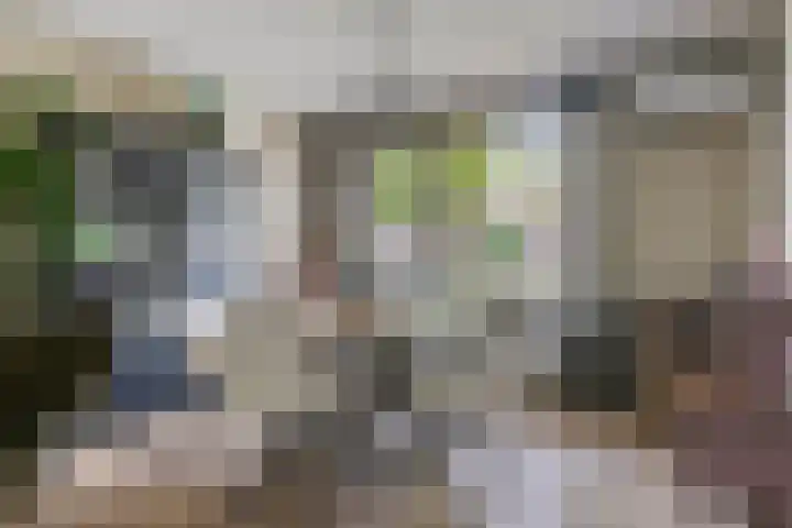 Bruiseldonk 16 Lierop thumbnail 8