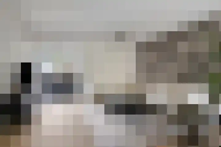 Bruiseldonk 16 Lierop thumbnail 9