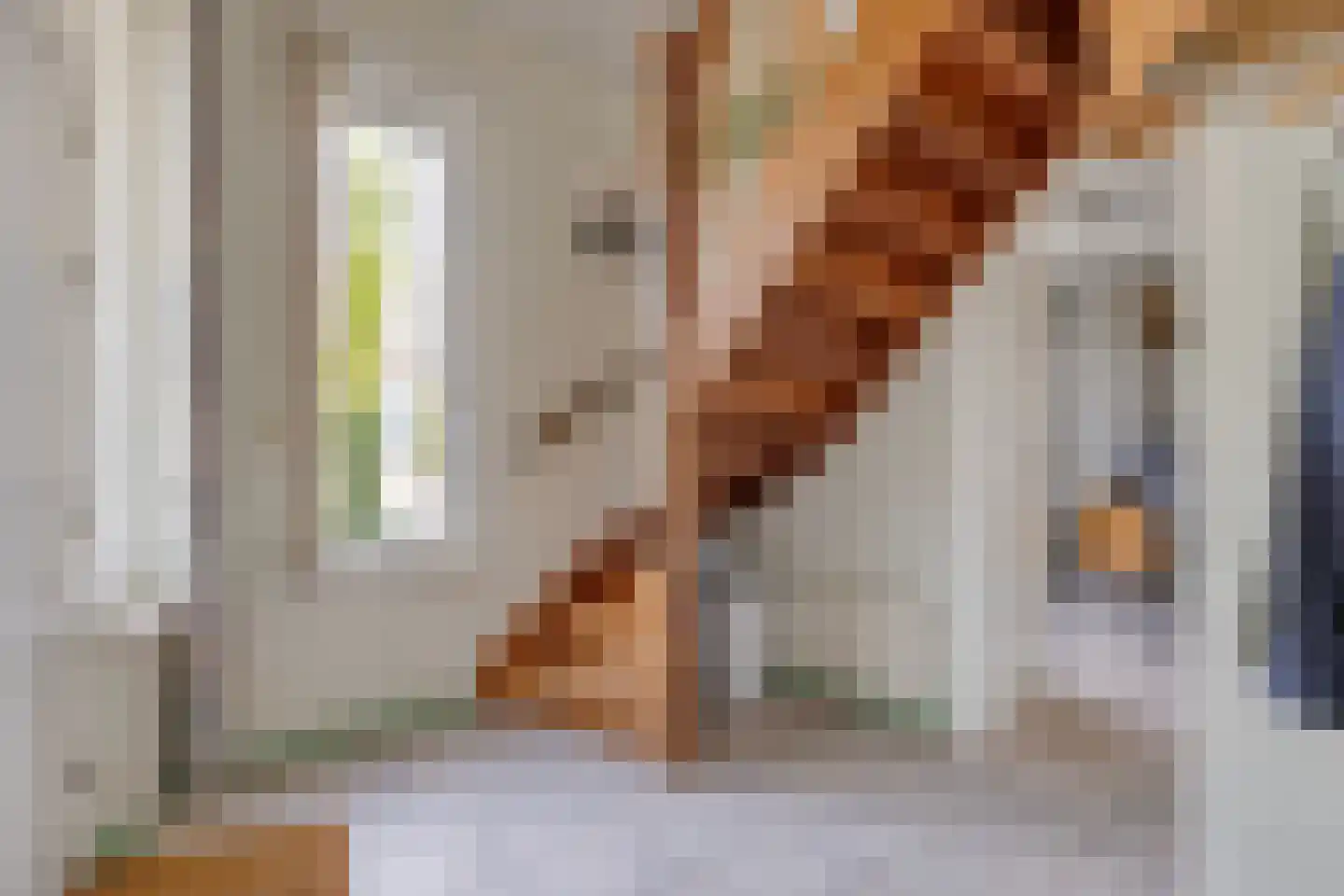 Bruiseldonk 7 Lierop thumbnail 11