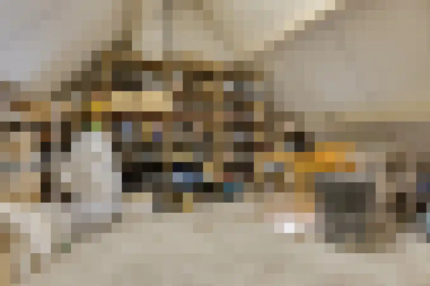Bruiseldonk 7 Lierop thumbnail 33