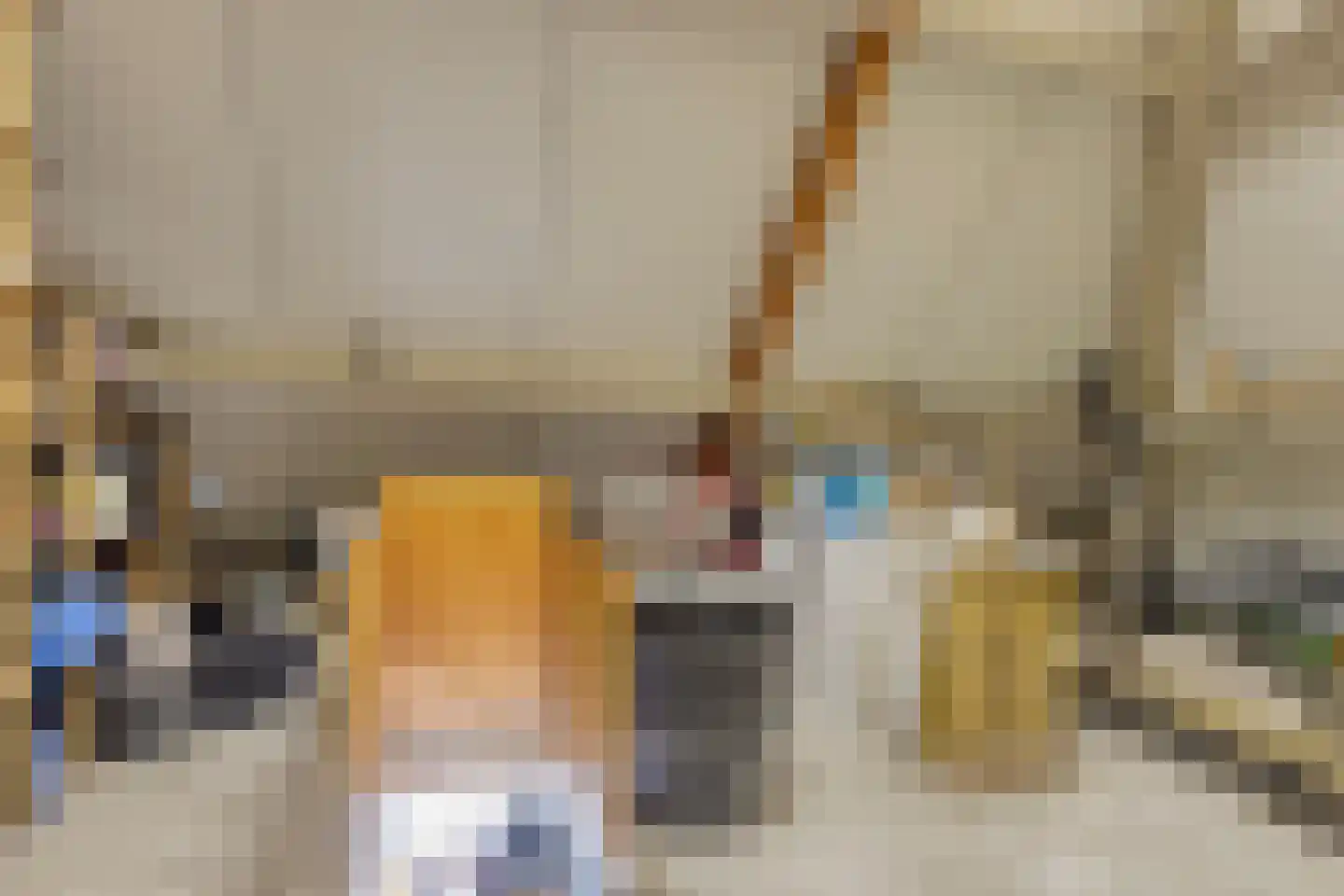 Bruiseldonk 7 Lierop thumbnail 34