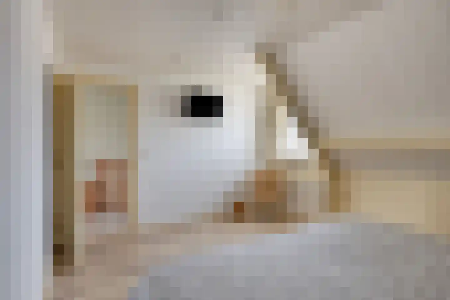 Bruiseldonk 7 Lierop thumbnail 36