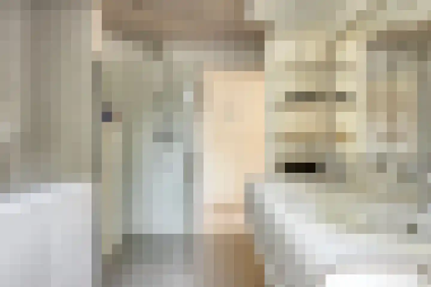 Bruiseldonk 7 Lierop thumbnail 38