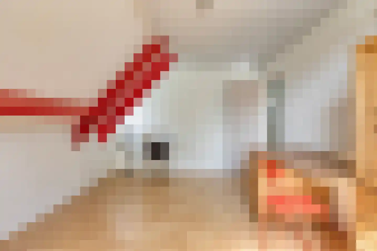 Bruiseldonk 7 Lierop thumbnail 43