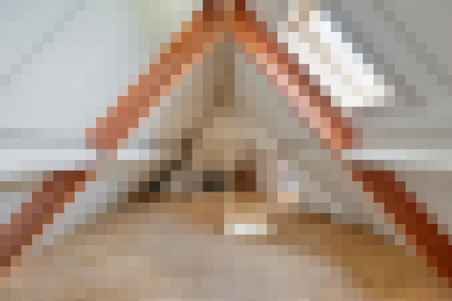 Bruiseldonk 7 Lierop thumbnail 48