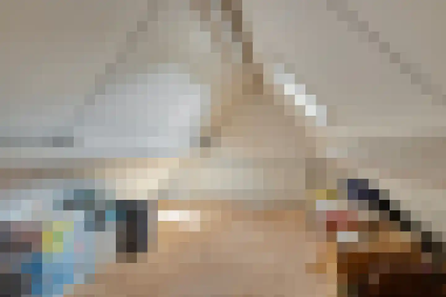 Bruiseldonk 7 Lierop thumbnail 49