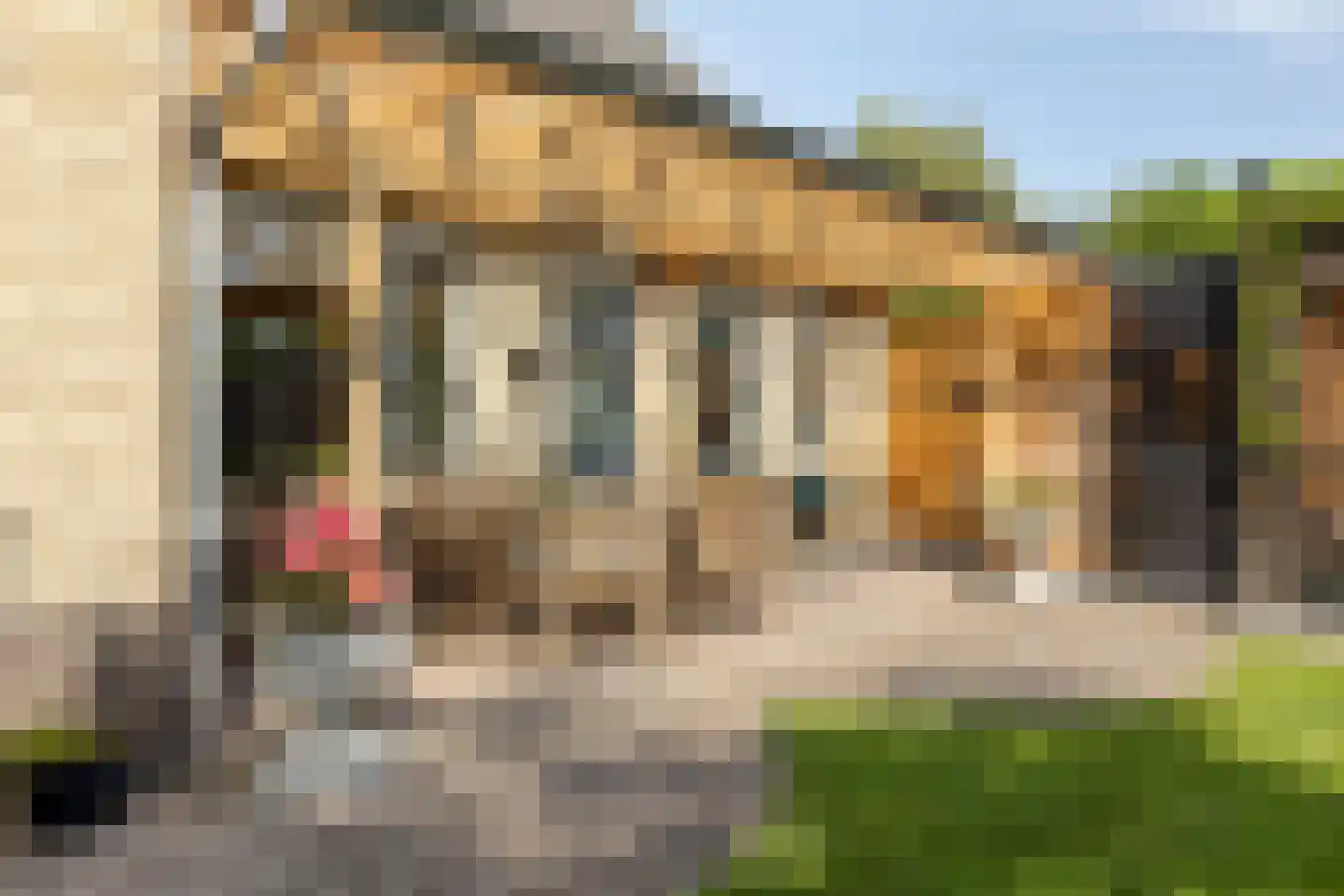 Bruiseldonk 7 Lierop thumbnail 52
