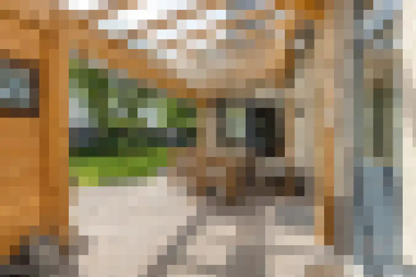 Bruiseldonk 7 Lierop thumbnail 53
