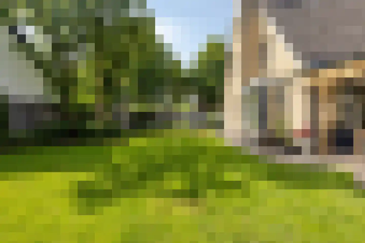 Bruiseldonk 7 Lierop thumbnail 56