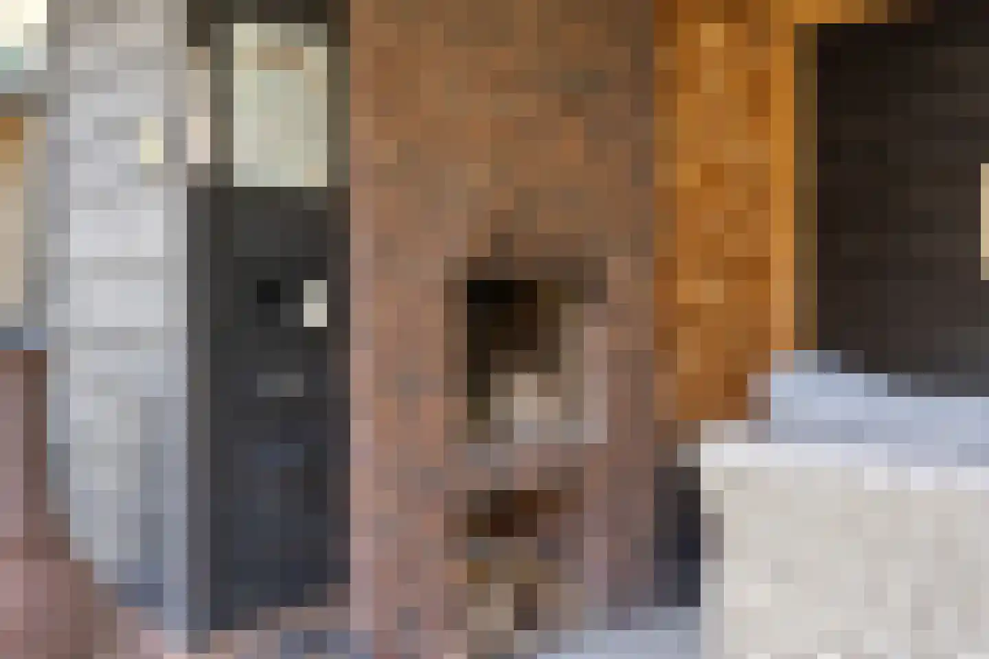 Bruiseldonk 7 Lierop thumbnail 60