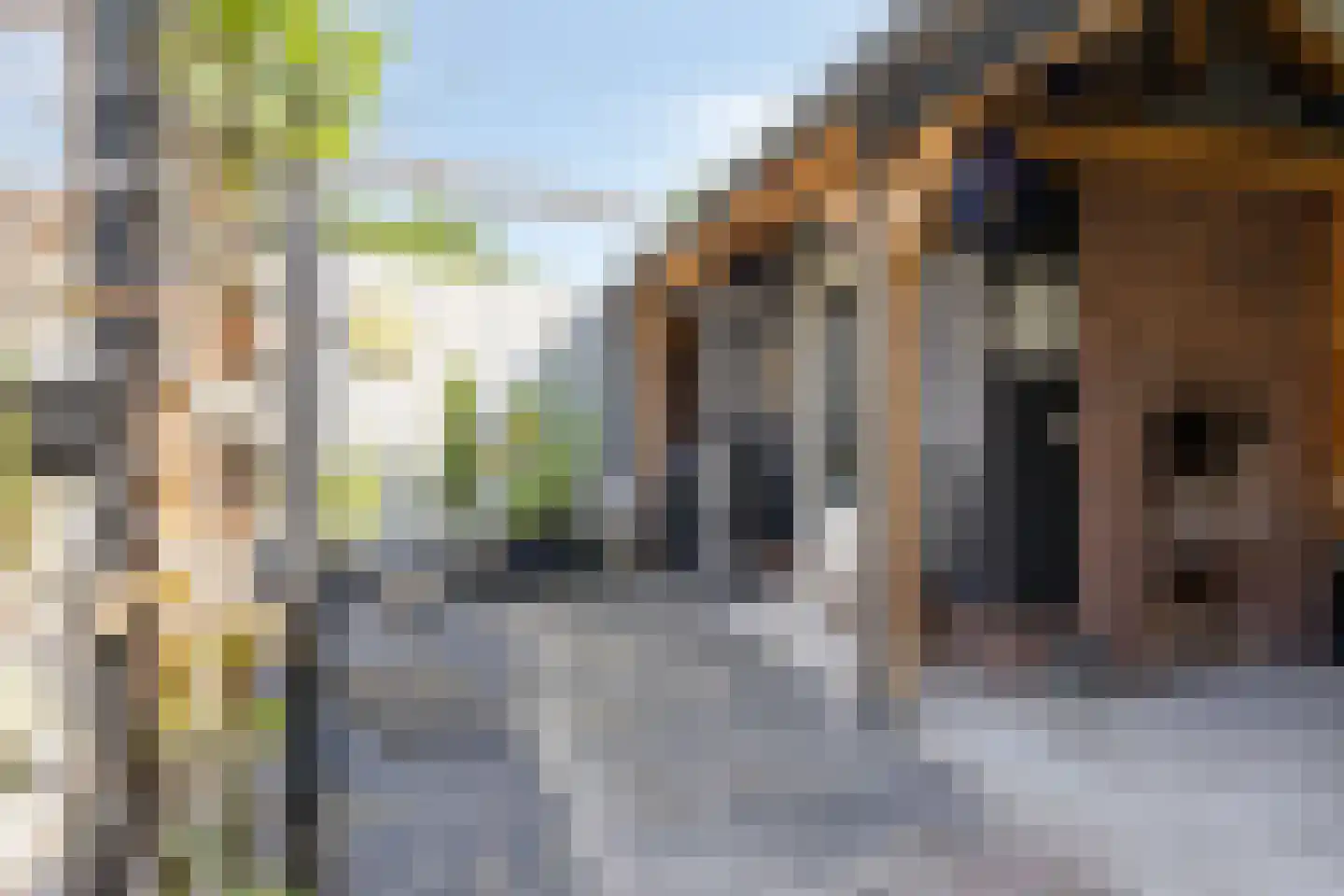 Bruiseldonk 7 Lierop thumbnail 61