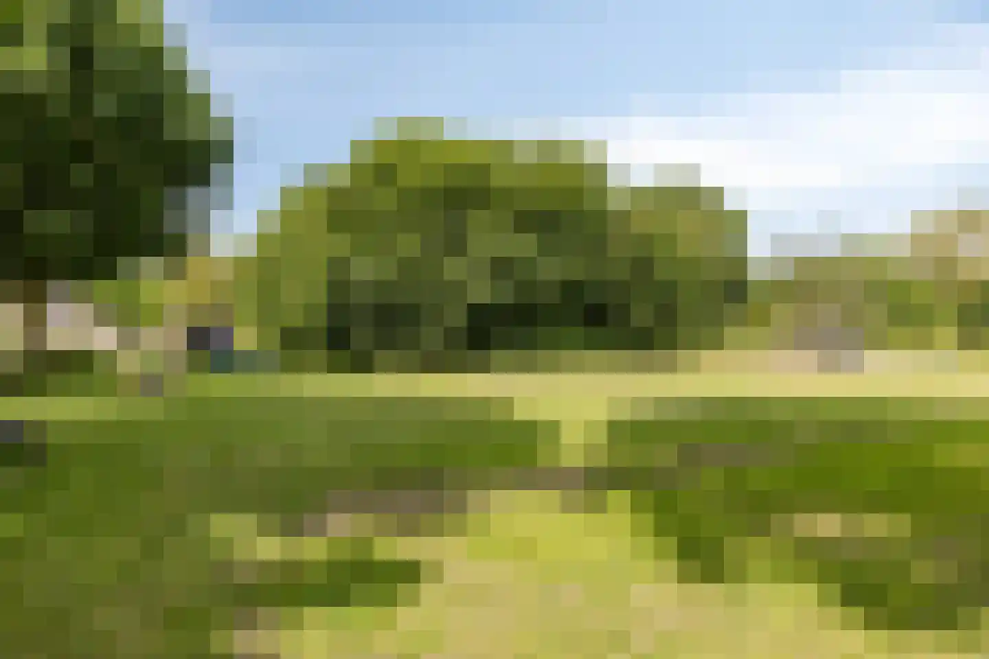 Bruiseldonk 7 Lierop thumbnail 64