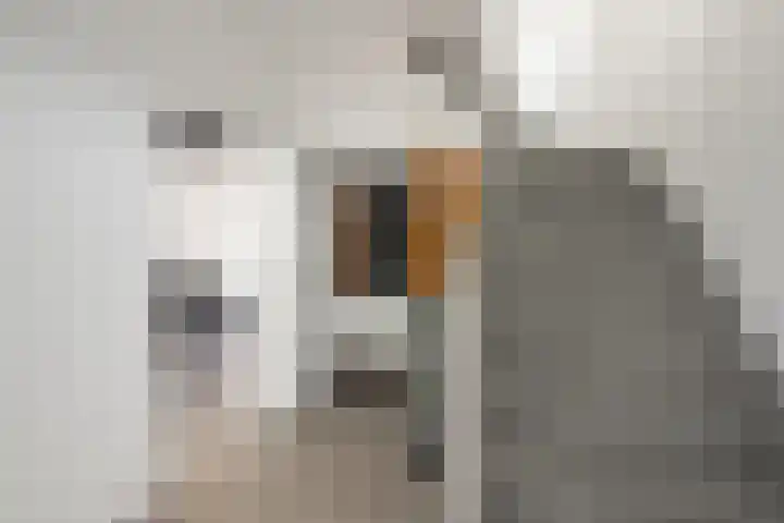 Bruisterbosch 15 Sint Geertruid thumbnail 10