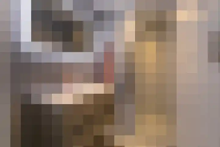 Bruisterbosch 15 Sint Geertruid thumbnail 14