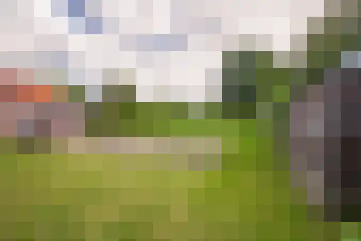 Bruisterbosch 15 Sint Geertruid thumbnail 16